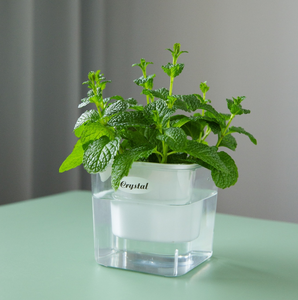 Sistema de riego automático moderno, maceta, resina de plástico duradera, función de autorriego para colgar <span class=keywords><strong>flores</strong></span>/suelo de plantas verdes - Product Image 4