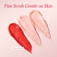 Exfoliante Corporal Blanqueador con Sal de Baño, Niacinamida y Alfa Arbutina para Aclarar la Piel y Suavizar la Aspereza, Marca Privada, Venta al Por Mayor