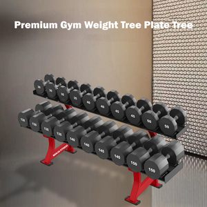 Soporte para Mancuernas de Acero Resistente para Gimnasio, Suministro Directo de Fábrica, Capacidad para 10 Pares, Compra en Línea - Product Image 4