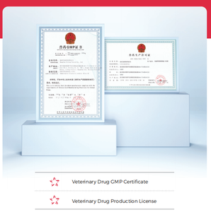 Kit <span class=keywords><strong>de</strong></span> Prueba Rápida <span class=keywords><strong>de</strong></span> Antígeno del Rotavirus Aviar, Directo <span class=keywords><strong>de</strong></span> Fábrica, Kit <span class=keywords><strong>de</strong></span> Prueba PRV Ag <span class=keywords><strong>para</strong></span> Análisis Patológico - Product Image 5
