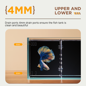 Bể cá betta kính siêu trắng, bể cá nhỏ, lọc đa lưới kết hợp, không cần thay nước - Product Image 3