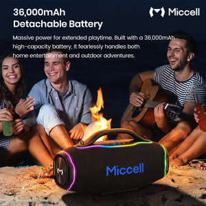 Altavoz Inalámbrico para Fiestas Miccell Wholesale de 700W con Batería Desmontable de 36000mAh, Luces RGB y Diseño VQ-SP86 1 Constr - Product Image 6