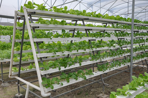 Serre hydroponique plantation <span class=keywords><strong>gouttière</strong></span> <span class=keywords><strong>PVC</strong></span> hydroponique nft canal tuyaux pour la culture <span class=keywords><strong>de</strong></span> la laitue - Product Image 2