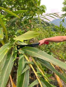 Outil agricole, faucille à brousse, hache à brosse, lame SK5, bord affûté, manche en nylon, fibre de verre et TPR, mobilité dans le jardinage - Product Image 4