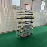 Cages de caille de ferme avicole de vente d'usine pour la production d'oeufs