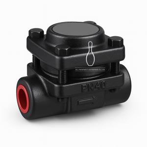 Trampa de Vapor Termostática de Presión Equilibrada Roscada de Acero Forjado Horizontal Serie TS80 BPC32 DIN 1.0509 - Product Image 2