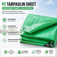 Bâche en PE personnalisée, imperméable, en polyéthylène tissé, pour camion, agriculture, couverture de projet, OEM pris en charge