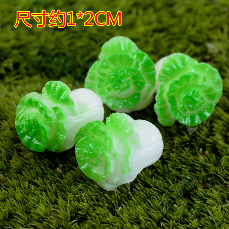 One green cabbage