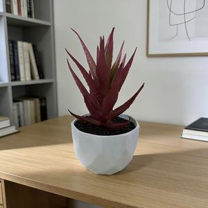 Mini bonsaï artificiel en aloe vera succulente, 14 cm de haut, plante en pot en plastique, vert rouge, décoration moderne pour la maison - Product Image 4