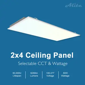 Adjustable Power Backlight LED Panel Light With Good Heat Dissipation Color Temperature Control