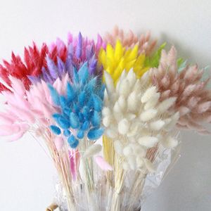 2025yearsNatural Factory Price Various Colors Decorative <strong>Flowers</strong> Natural Large Tall Big <strong>Mini</strong> Small Pampas <strong>Dried</strong> Flowbest Quality - Product Image 1