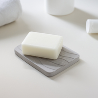 Porte-savon de cuisine en diatomite ondulée, antibactérien, absorption rapide de l'eau, plateau à savon pour évier et comptoir