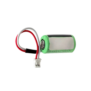 Hochleistungsfähig für Automatisierungsprojekte mit 24 DI/16 DO & Integriertem Ethernet und Kompatibilität mit HMI & Sensoren - Product Image 3