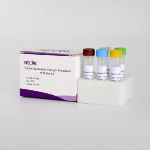 <span class=keywords><strong>Kit</strong></span> qPCR du gène gB du virus de la pseudorage à haute sensibilité | 50 tests/certifiés CE - Product Image 5