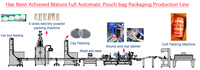 Machine de remplissage entièrement automatique de petits granulés à priser et de pots de céréales de 3000g pour les aliments et le tabac pour l'emballage de sachets en plastique