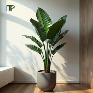 Chất Lượng Cao Du Lịch Của Palm Lá Chuối Cây Nhân Tạo Cho Đám Cưới Nhà Và Giáng Sinh Vườn Trang Trí Nội Thất Cho Thiết Kế Nội Thất - Product Image 1