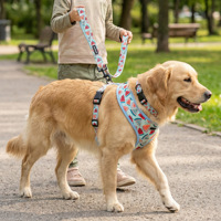 Fournitures pour animaux de compagnie, harnais et laisse pour chien en polyester rembourré avec décoration en écharpe, design mignon, personnalisé