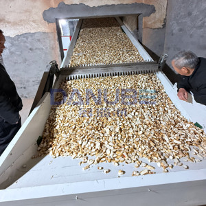 Séchoir à bande maillée pour tranches d'igname de haute qualité, ligne de production de découpe et de séchage d'igname, déshydrateur d'igname - Product Image 4