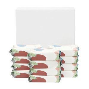 MAMAMY TROPICAL Paquete Pequeño de Fábrica 60 Toallitas Húmedas Orgánicas para Bebé con Material No Tejido para el Cuidado de la Piel y el Hogar - Product Image 1