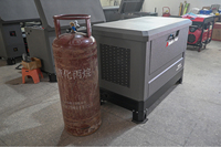 Générateur silencieux bi-carburant 15-30 KVA 4 cylindres, essence/gaz naturel, ATS intégré, châssis en acier robuste, personnalisable