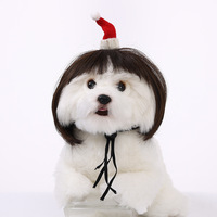 Perruques pour animaux de compagnie en cheveux synthétiques, style Halloween mignon et original, avec petites tresses, coiffure bob et ondulations, pour chats et chiens