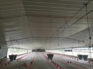 2024 nouvelle Structure en acier léger préfabriqué bâtiment de ferme personnalisé poulet canard volaille maison bâtiment - Product Image 5