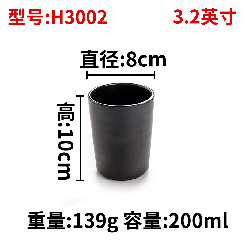 H3002
