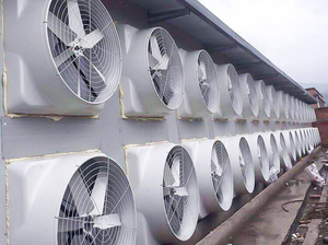 Ventilador de Extracción Eléctrico de Fibra de Vidrio de Alta Resistencia, Motor de Ahorro de Energía, Protección IP55, 26000 CFM, para Ventilación de Establos y Lecherías - Product Image 2