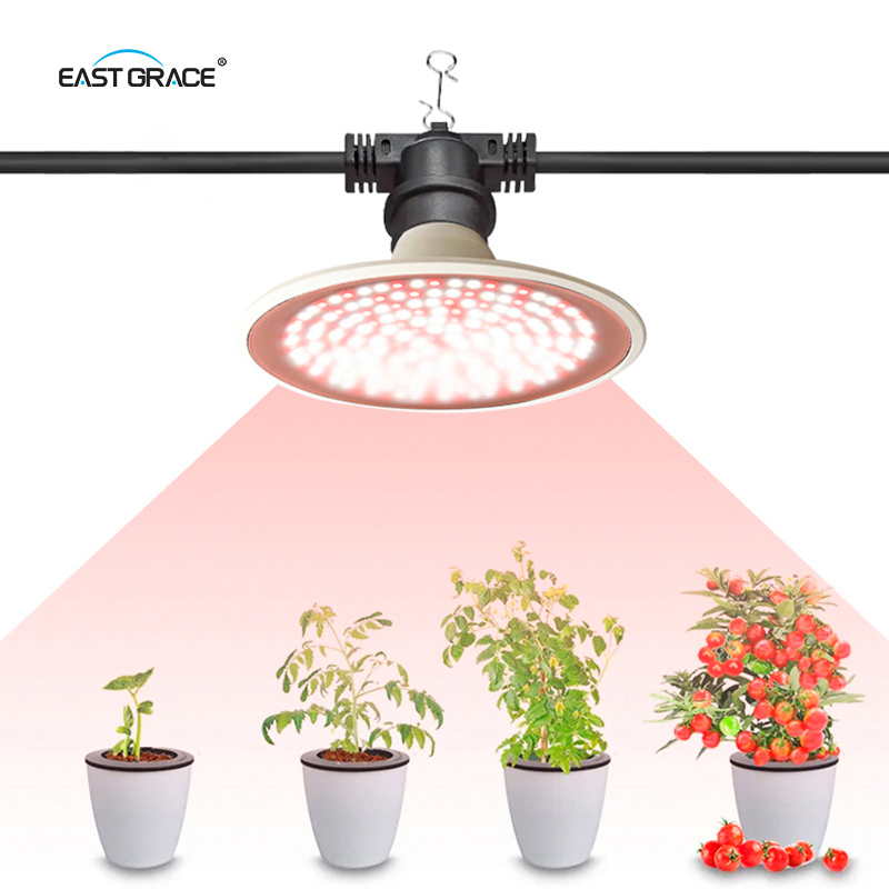 Outdoor Grow Light Bulbs 30W Full