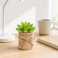 Livraison Rapide Plante Artificielle Bohème Vert Émeraude (Succulente & Cactus) pour Présentation en Boutique, Décoration de Centre Commercial