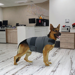 Gilet apaisant réglable OEM pour chien contre l'anxiété, idéal pour Halloween et les feux d'artifice, le stress de séparation – Le choix des propriétaires de chiens - Product Image 3