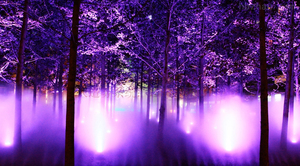 Trade Assurance fuente de <span class=keywords><strong>niebla</strong></span> fresca con pantalla de agua proyector de películas y láser - Product Image 6