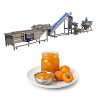 Productielijn voor kleine gele perzikjam, bessenjam en diverse andere jammen, inclusief machine voor het maken van jam en machine voor het koken van jam.