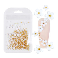 200 pièces de breloques pour ongles en résine 3D, micro-perles dorées, perles caviar, accessoires pour nail art, couleurs mélangées, accessoires de manucure florale