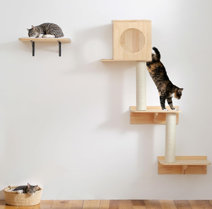Estante de Pared Ecológico y Moderno para Tienda de Mascotas, Hamaca para Gatos, Ventana de Escalada con Rascador para Gatos, Uso Interior y Exterior - Product Image 1