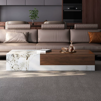 Table basse rectangulaire en bois massif et pierre vitrifiée au design moderne et luxueux BTCT027 avec tiroirs pour le salon
