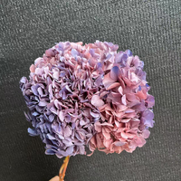 Hortensia séché préservé pour mariage, tige unique, grande feuille, dégradé naturel, fleur éternelle, décoration intérieure, bricolage floral