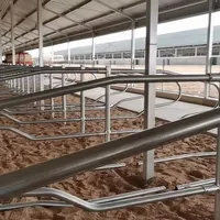 乳牛の快適な屋台を製造する他の畜産設備牛のない屋台