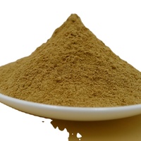 Green Papaya Extract Powder 10:1 Carica papaya L
