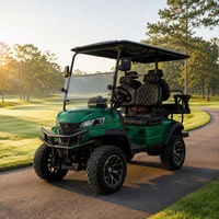 Voiturette de golf électrique Cedar Woods 2, 4 ou 6 places, moteur AC 48V 5KW, batterie au lithium, pour le transport de bois, avec planches de chargement et support de couchettes