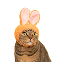Vente en gros d'accessoires pour animaux de compagnie individuation oreilles mignonnes décoration décontractée de chapeau de chien de chat
