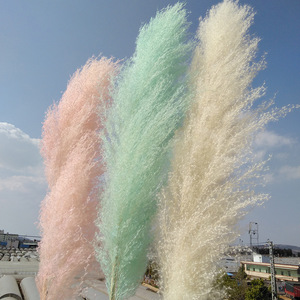 Roseaux artificiels des marais séchés, 60/80cm de longueur, herbe décorative, pour mariage - Product Image 4