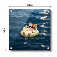 Tableau mural en acrylique 4,5 mm 30x30 cm, impression UV HD, peinture flottante sans cadre avec clous d'angle pour la décoration de la maison, du salon ou du bureau