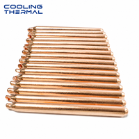 Pipa Panas Tembaga Sintered 10x250mm Efisiensi Tinggi untuk Sistem Pendingin CPU GPU dan Manajemen Termal Industri