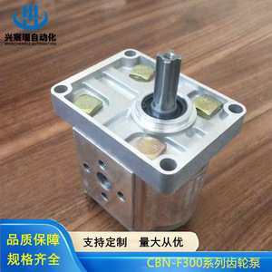 ปั๊มเกียร์ซีรีส์ CBN-F300 อลูมิเนียมอัลลอยด์ ปั๊มไฮดรอลิกแบบหมุน 1 จังหวะ 25 ลิตร/นาที 350 บาร์ ขับเคลื่อนด้วยไฟฟ้า - Product Image 1