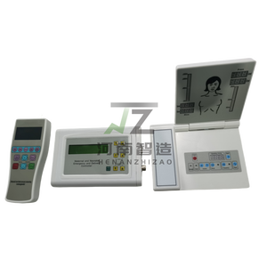 Modelo de Entrenamiento Obstétrico Henan Zhizao para Parto Avanzado, Primeros Auxilios Maternoinfantiles, Material PVC, Tamaño Natural, Modelo F55 - Product Image 3