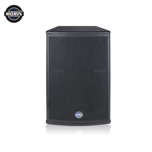 Loa Khuếch Đại Âm Thanh 15 Inch Tích Hợp Loa Sân Khấu Hoạt Động 1200W Chuyên Nghiệp - Product Image 3