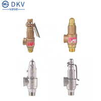 صمام أمان غلاية البخار DKV A27H مع ذراع ومانع تسرب PTFE ونابض من الفولاذ المقاوم للصدأ SS304، بخيط NPT BSP، من DN15 إلى DN50 للبخار والماء الساخن