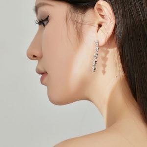 Dylam Exquisite Jewelry S925 Silver Rhodium 18K Gold Plated Women <b>Fine</b> Jewelry Bar Tassel 5A Cubic Zircon <b>Stud</b> <b>Earrings</b> - Product Image 4