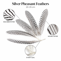 Plumes d'ailes de faisan argenté naturelles 20-25 cm (8-10 pouces) en vrac pour l'artisanat DIY, Halloween, Noël, Mardi Gras, décoration de carnaval